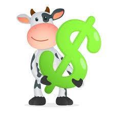 Cash Cow