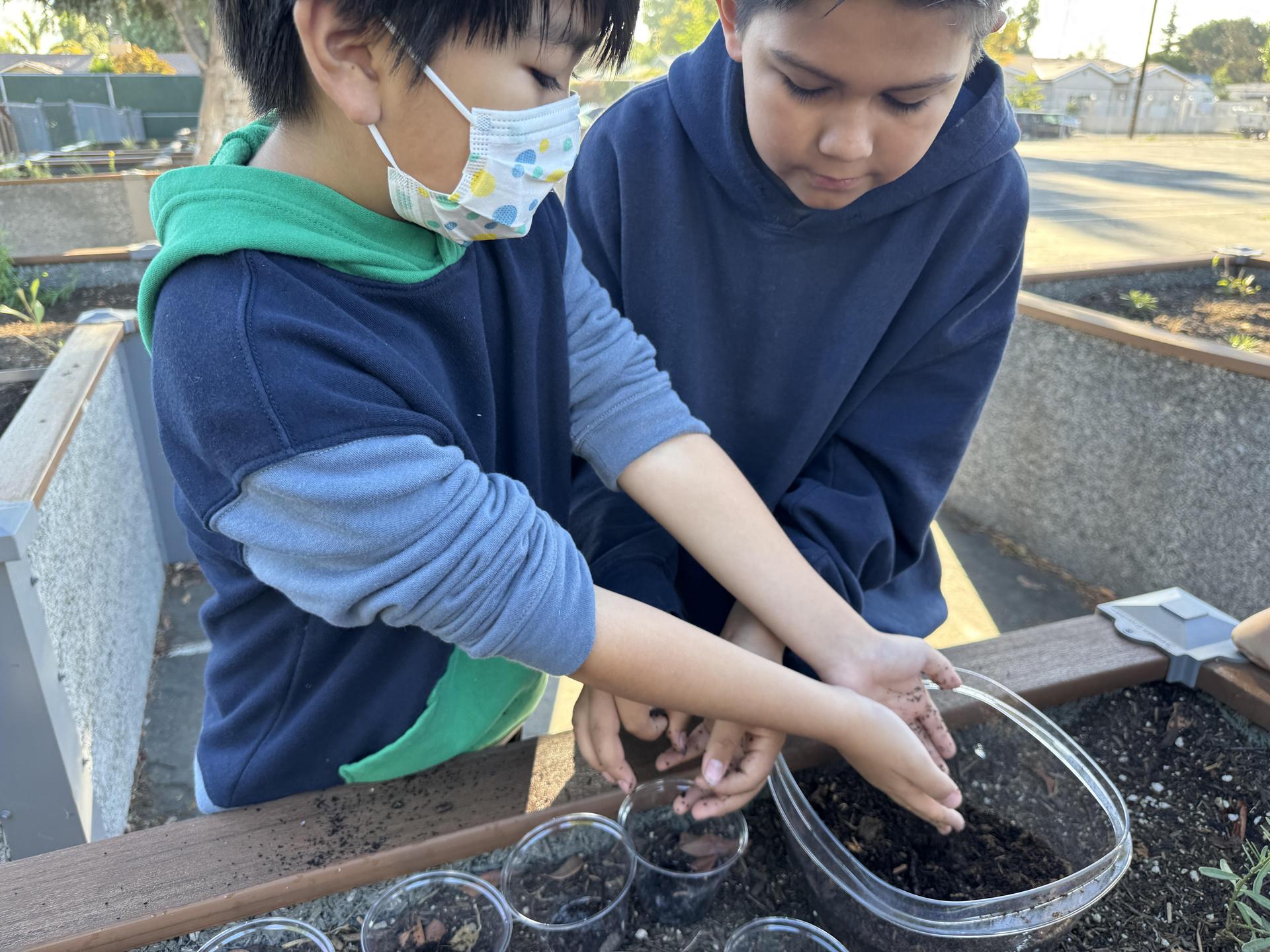 Students working on stewardship project