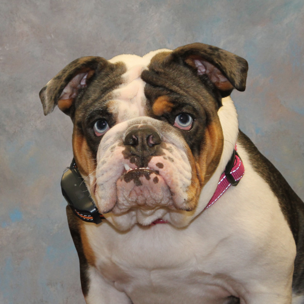 BellaNance's Profile Photo