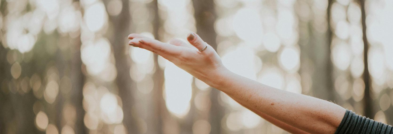 Outstretched hand against a blurred forest background with warm light.