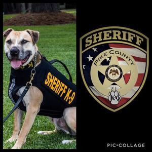 Honoring Deceased K-9 Hercules (Herc)