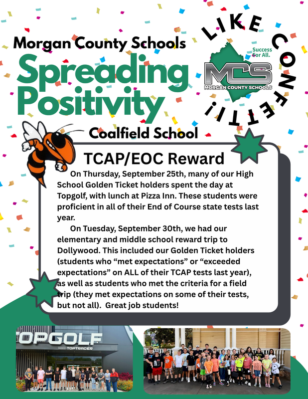 Positive Spotlight- Coalfield