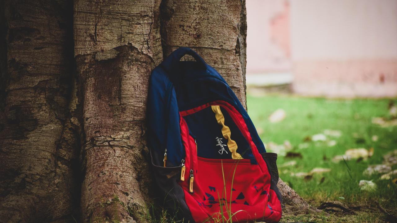 A blue and red backpack resting against a tree trunk on green grass.