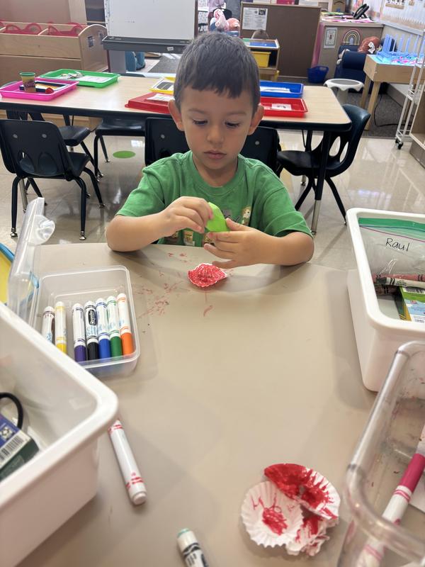 Poppies in Preschool