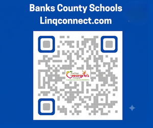 Lingconnect.com