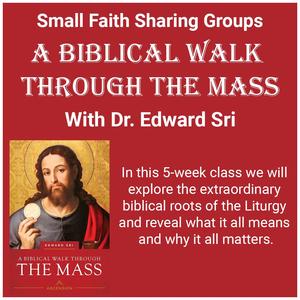 Biblical Walk Through The Mass