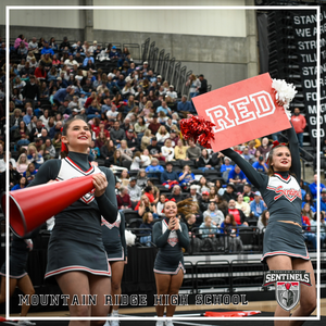 SENTINEL SPIRIT SHINES AT THE STATE CHAMPIONSHIPS