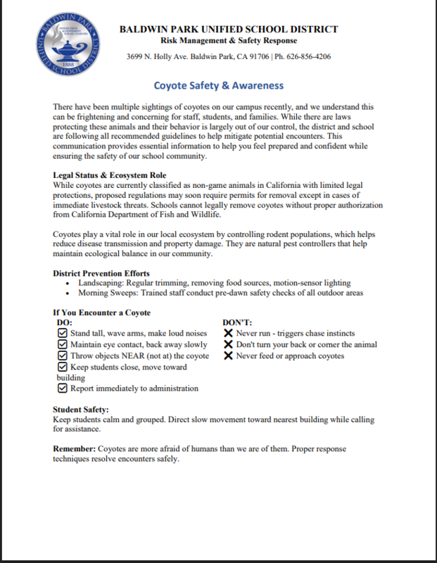 Cayote Safety and Awareness Featured Photo