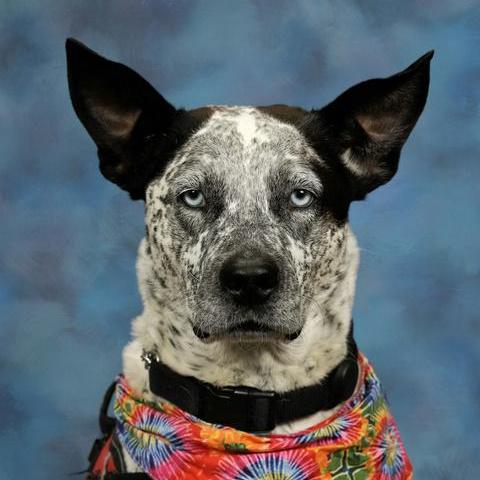 SkyeZimmerscheid's Profile Photo