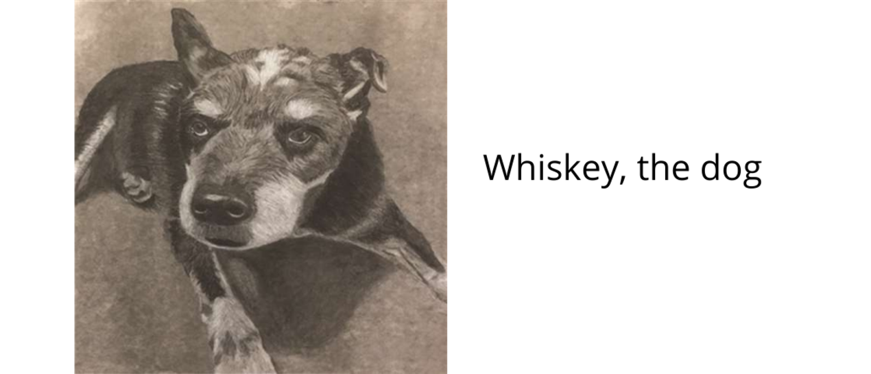 student drawing of a dog