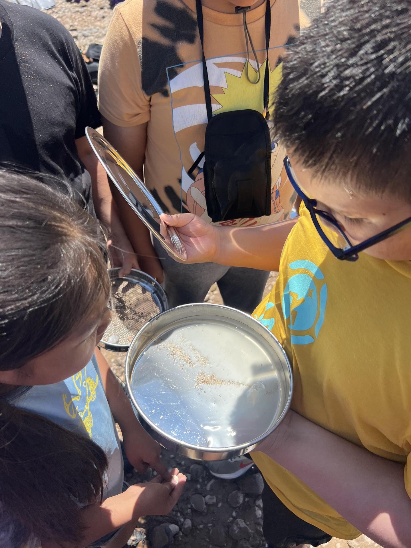 Students looking at a bug