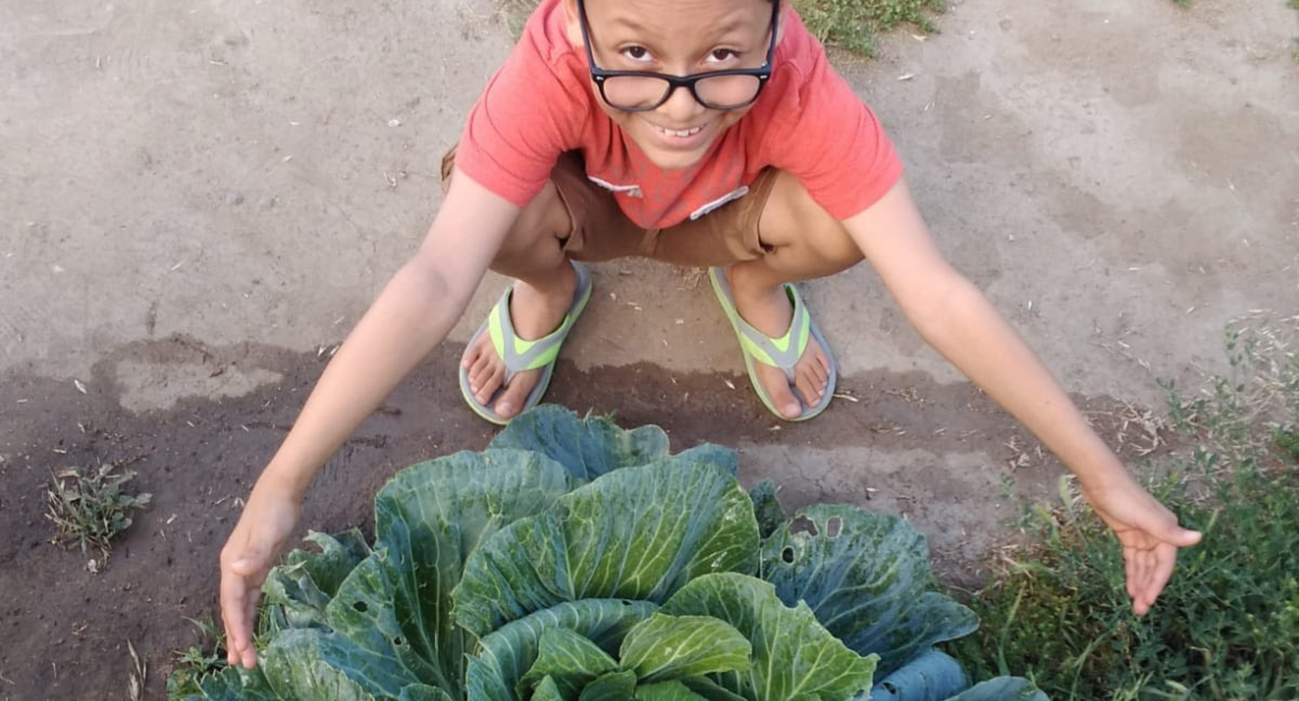 What a gardener! 3rd grade cabbage growing contest.