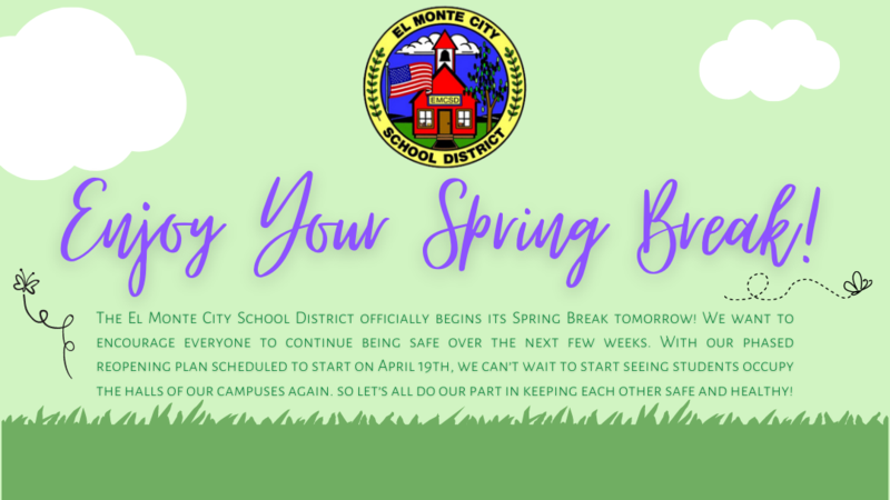 Enjoy your spring break graphic