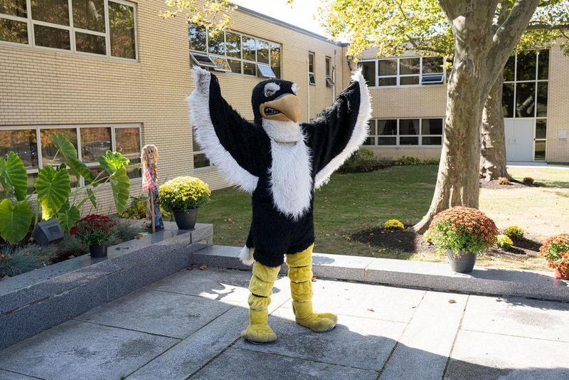 XHS Falcons