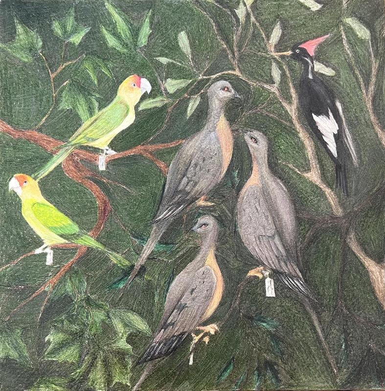 Lilah Swanson's artwork - a painting of birds