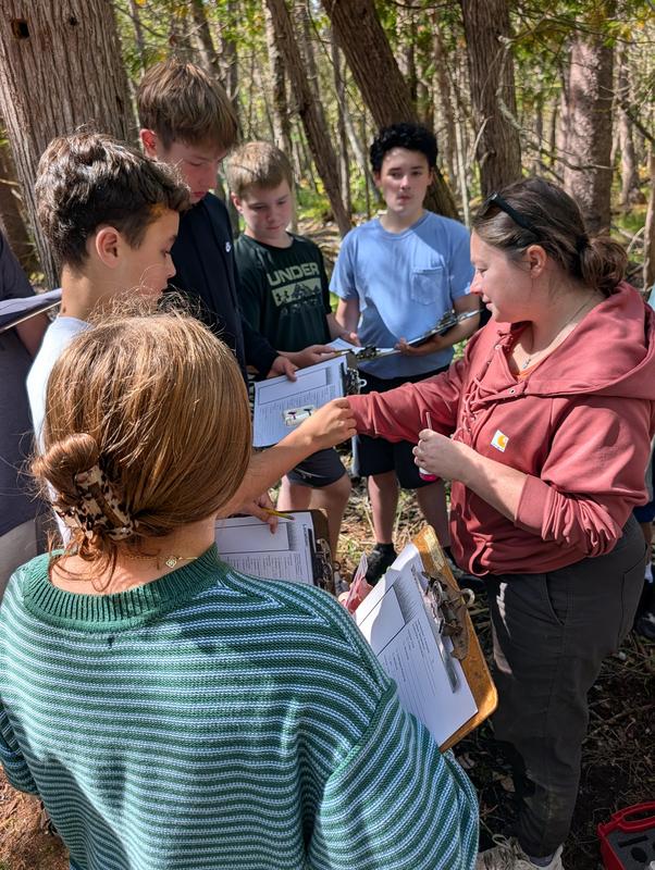 A group of young students in a forest, collaborating on an activity.
