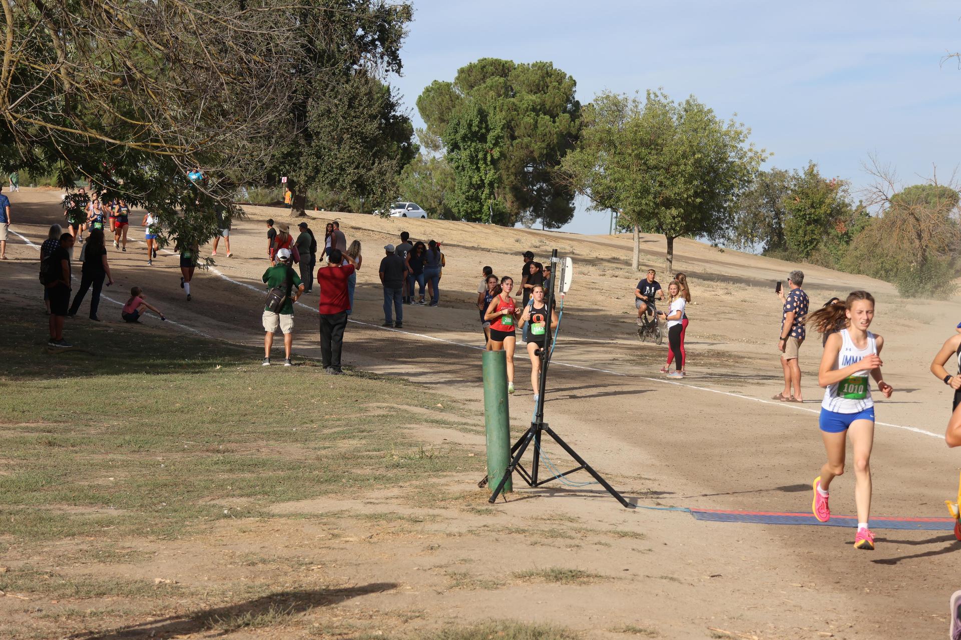 cross country runners in action
