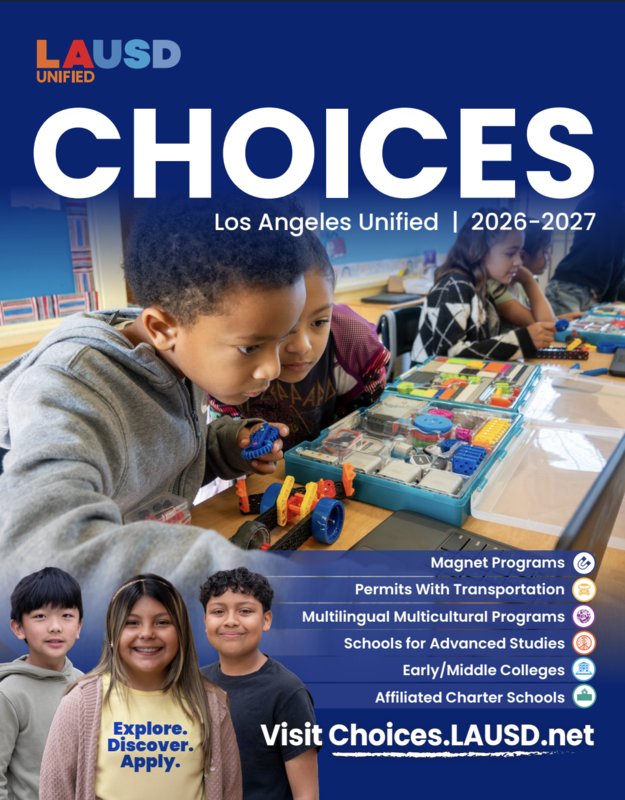 choices flyer