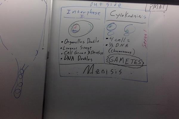 Photo on 3-14-19 at 4.45 PM.jpg