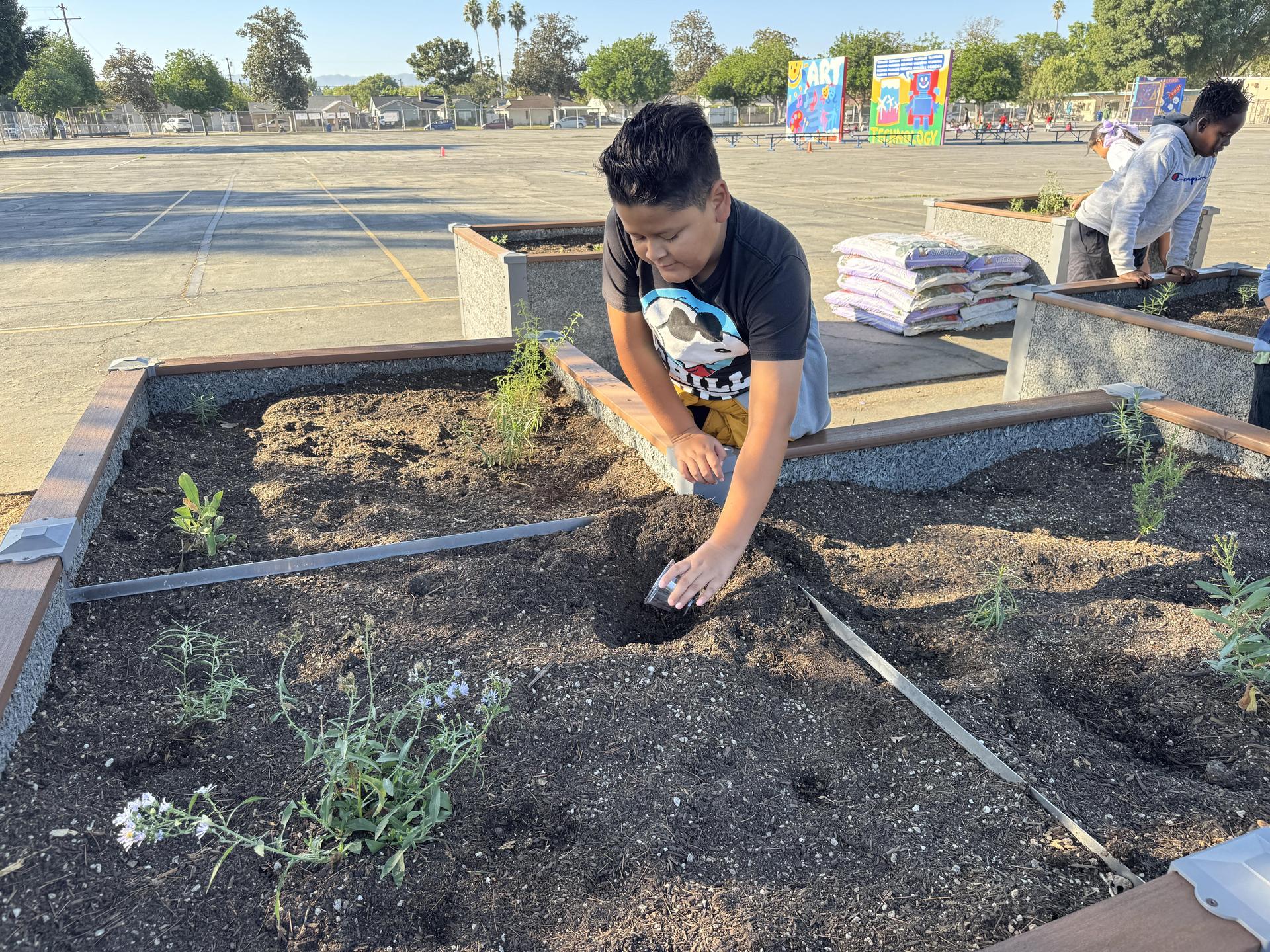 Students working on stewardship project