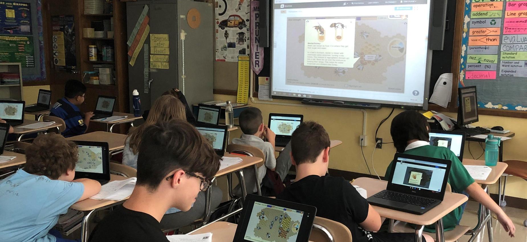 Students in class