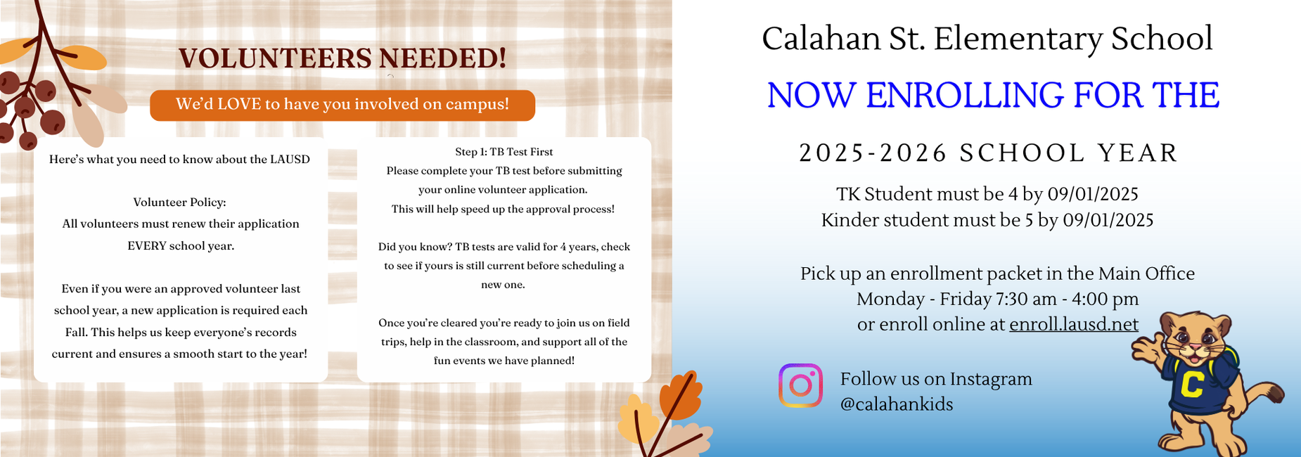 volunteers needed info