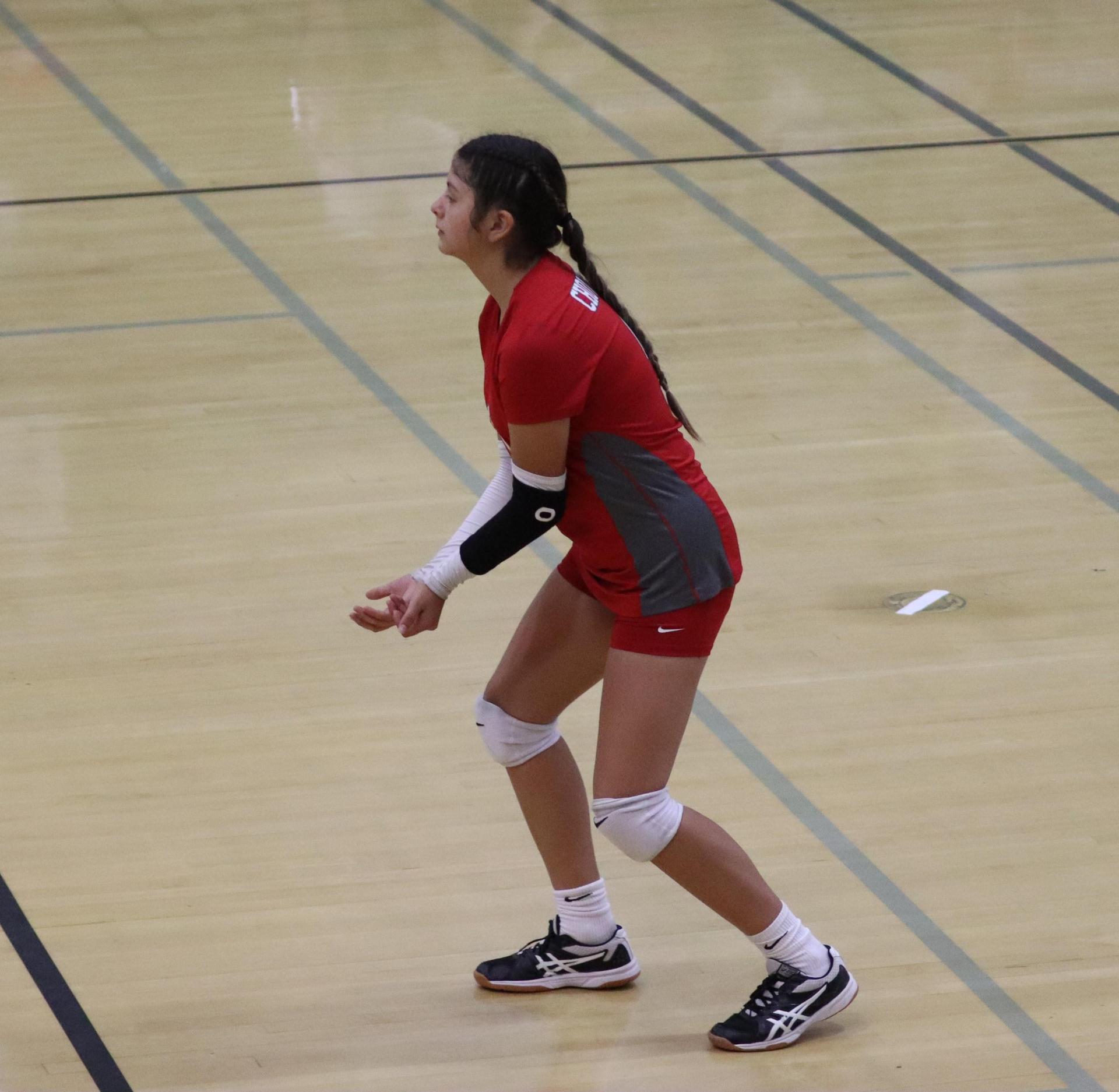 junior varsity girls playing volleyball against Mendota