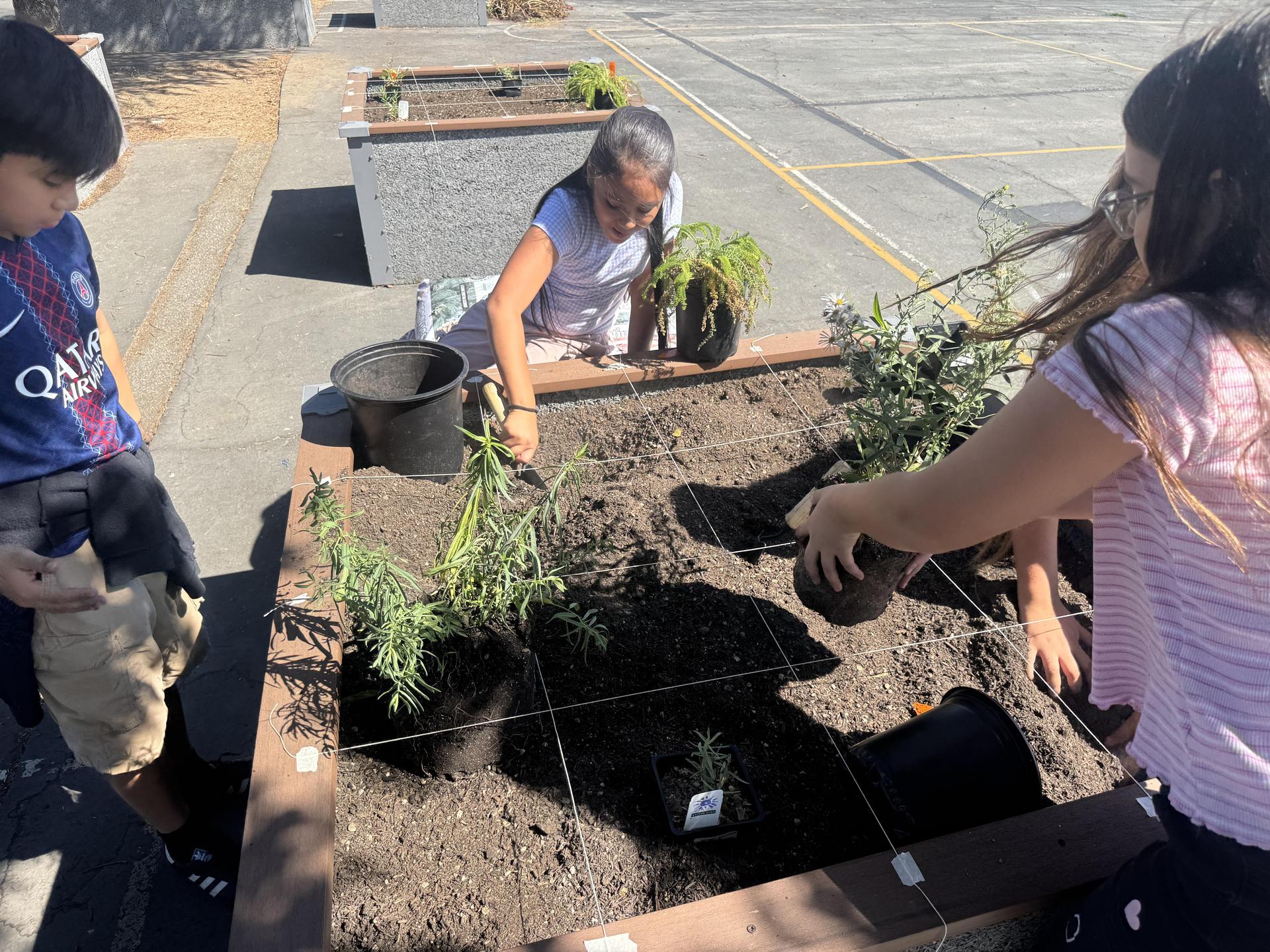 Lorne's Monarch Butterfly Sanctuary Garden
