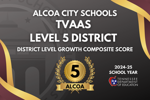 TVAAS Scores