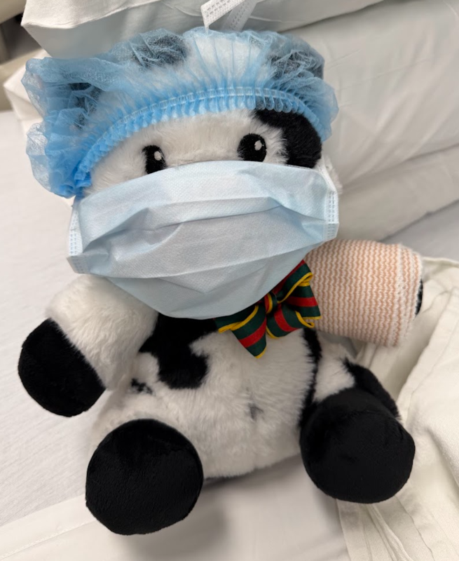 Stuffed Animal Fundraiser