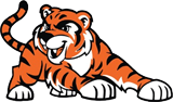 Young Tiger Smiling