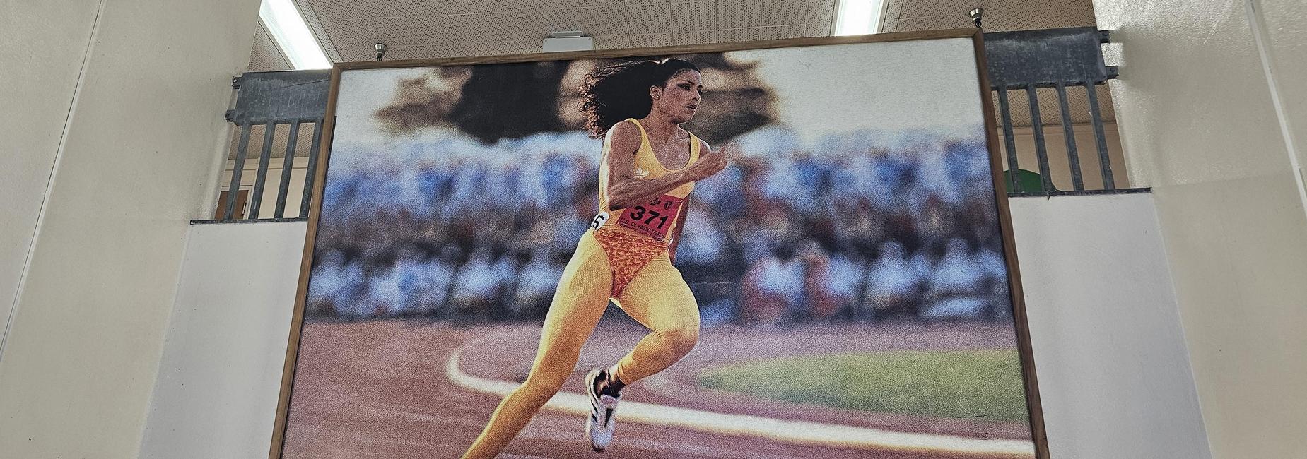 Racing towards academic excellence