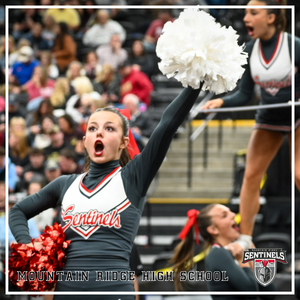 SENTINEL SPIRIT SHINES AT THE STATE CHAMPIONSHIPS