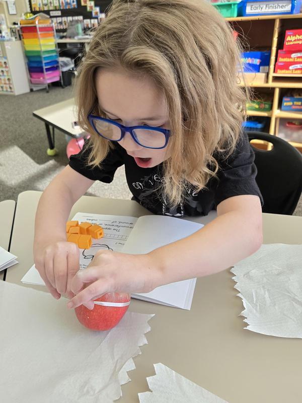 Students help find the prized apple