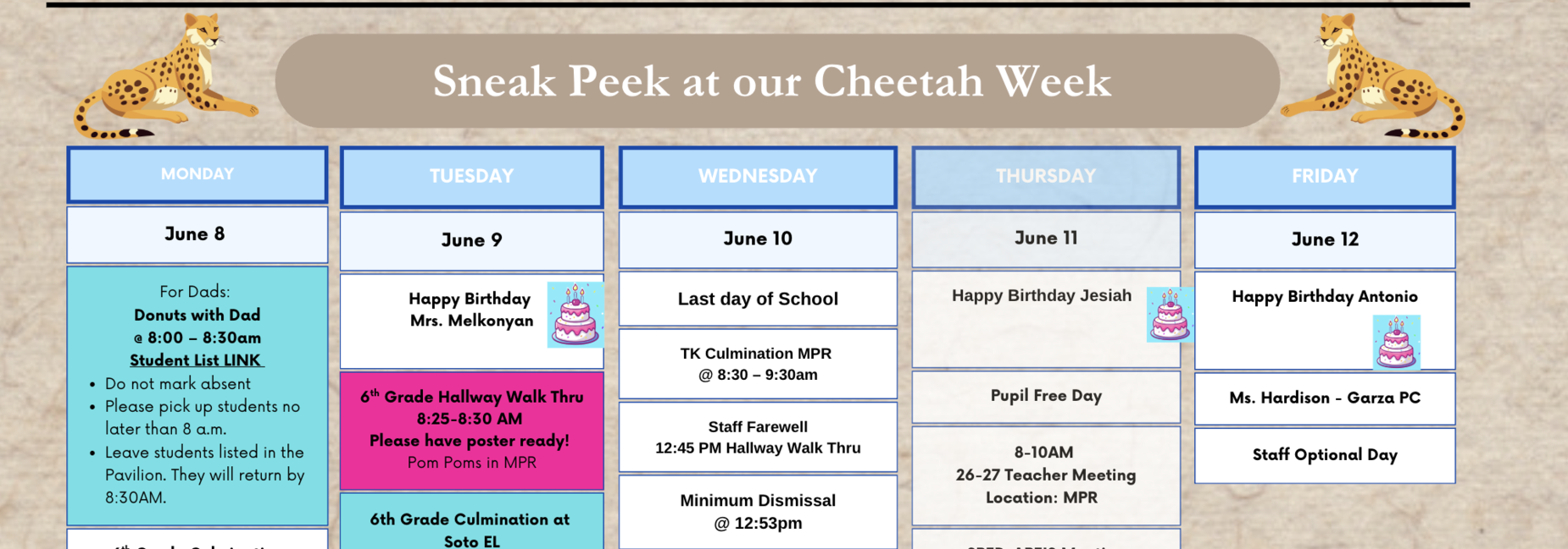 Cheetah Week