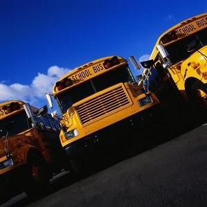 School Buses
