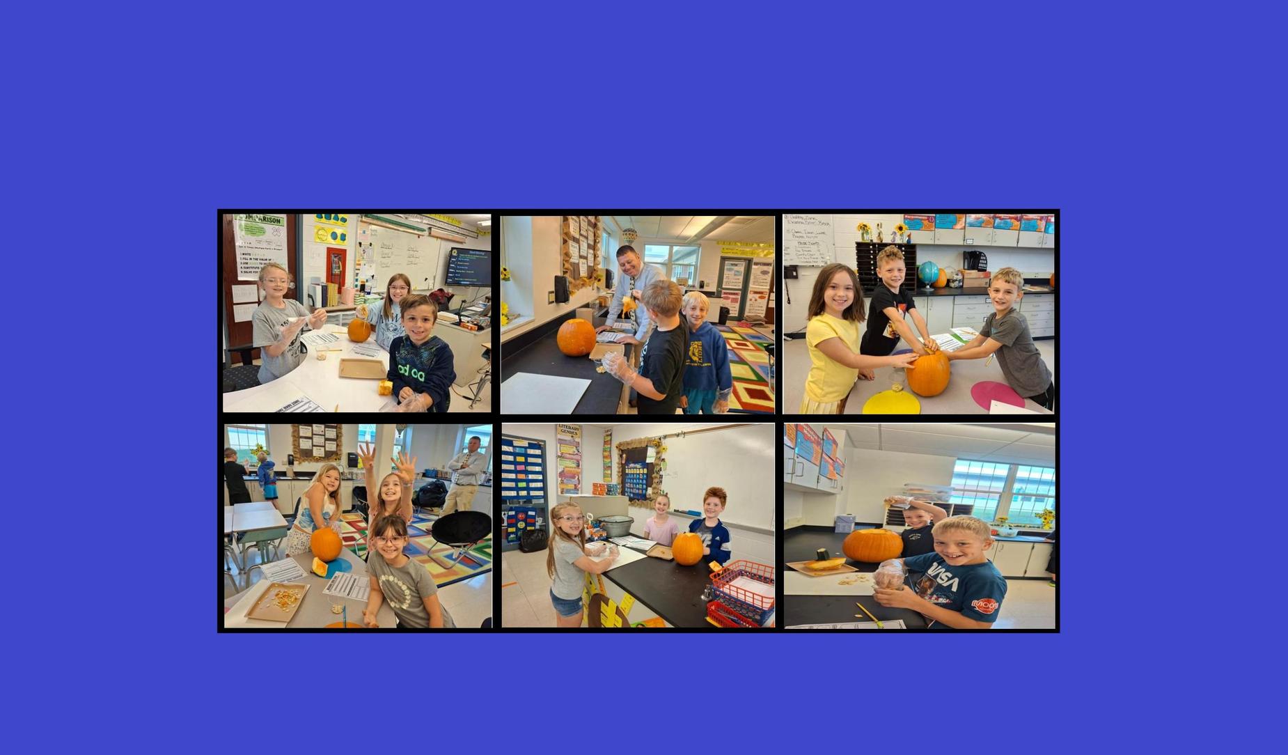 Chestnut Ridge School District