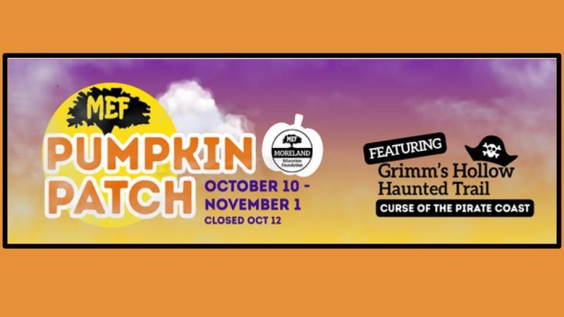 MEF Pumpkin Patch Thumbnail Image