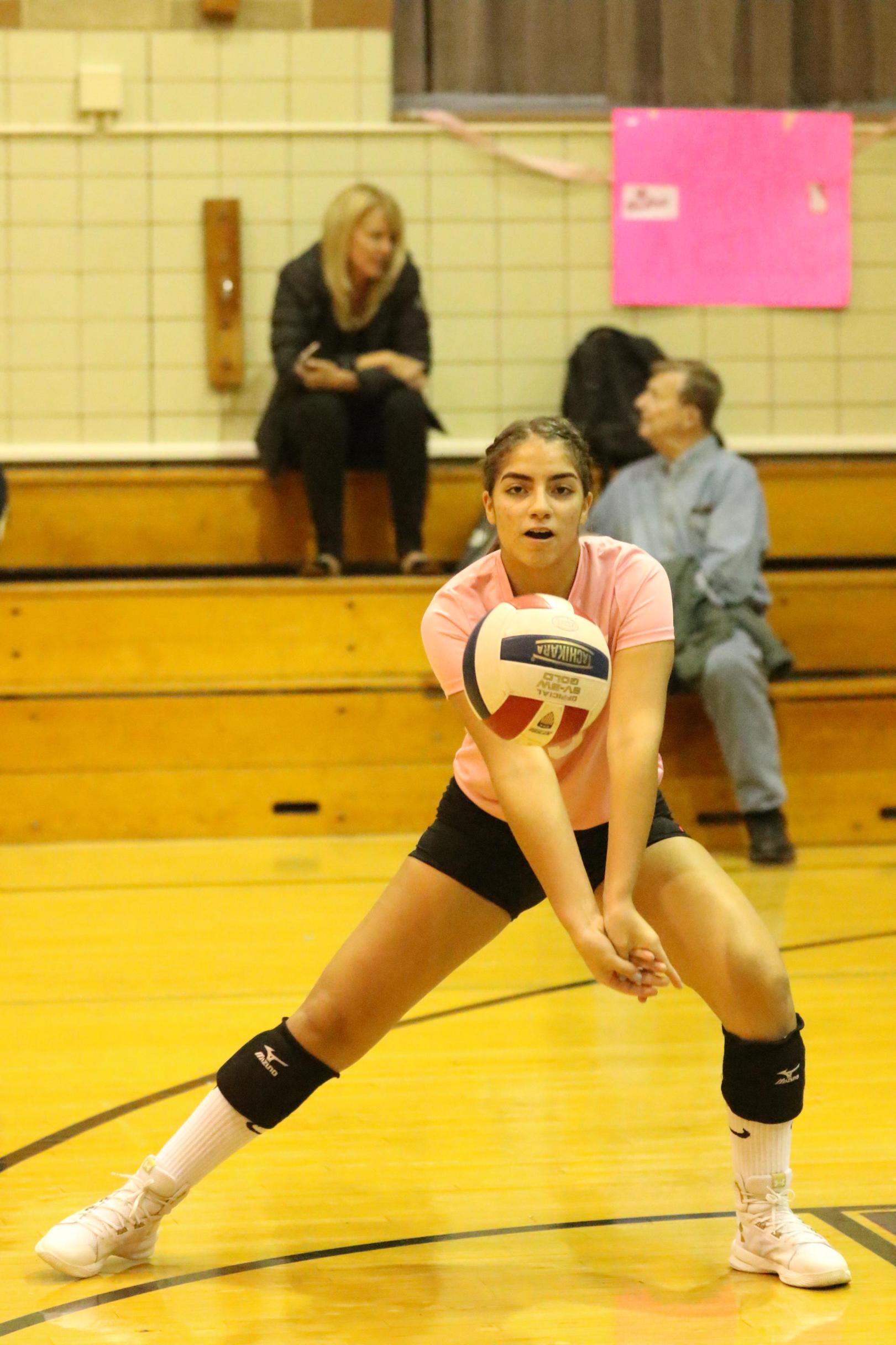 Girls JV Volleyball Home Volleyball Girls JV St. Edmund