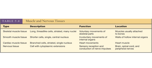 Table 5.8 p. 165.PNG