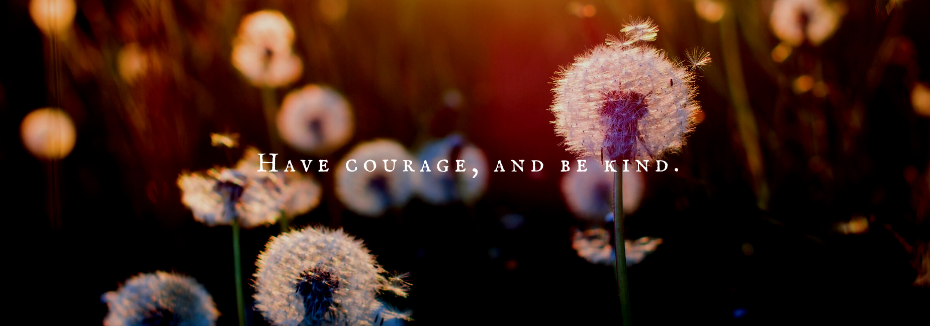 have courage be kind