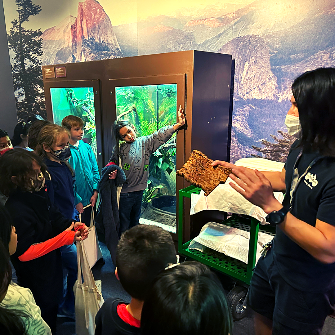 4th grade at the science center listening to a docent