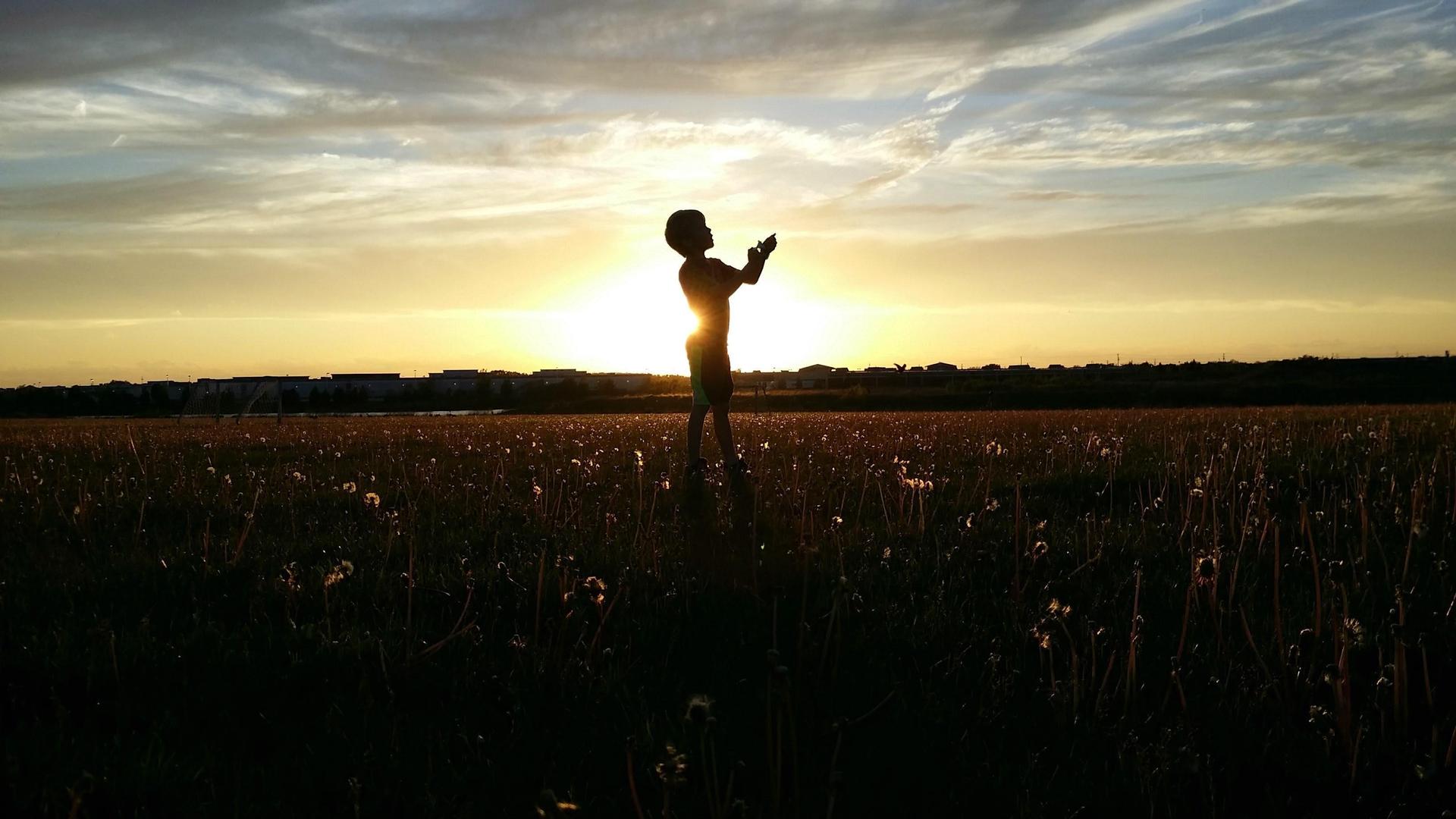 Silhouette of a person holding a phone against a sunset in a field of dandelions.