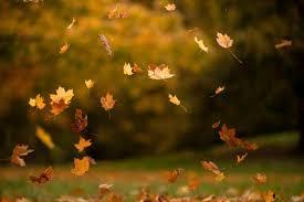 Fall Break - October 13 - 17; No School