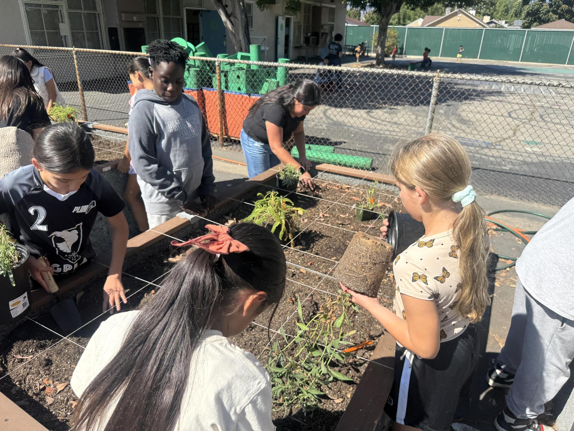 Lorne's Monarch Butterfly Sanctuary Garden