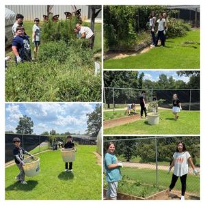 garden to table