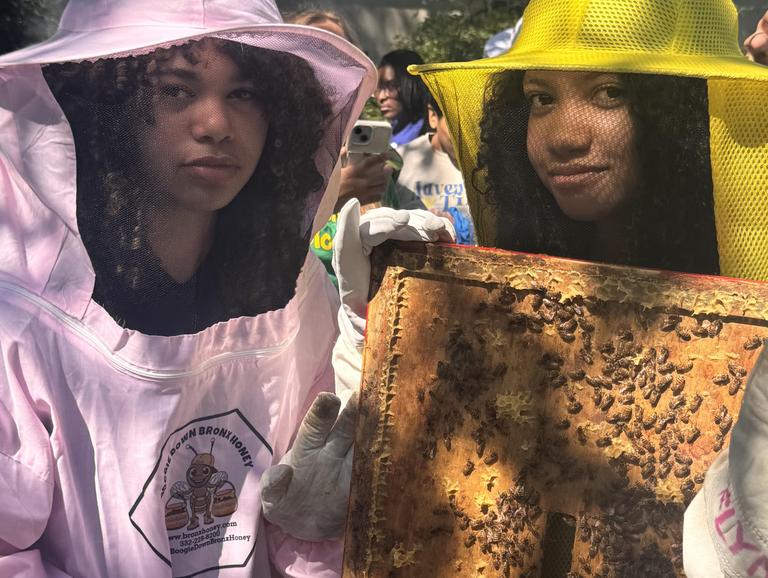 Bee