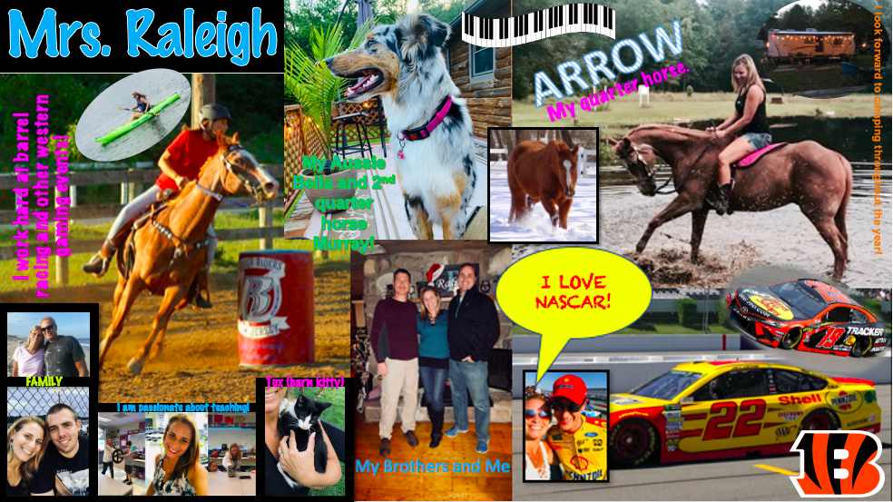 Photos of Animals and Cars