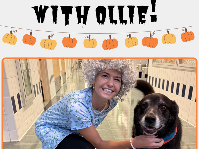 Person dressed up as an elderly person with Ollie the dog