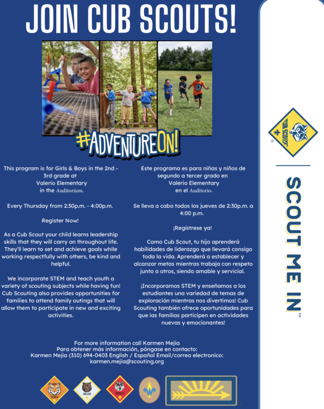 cub scouts